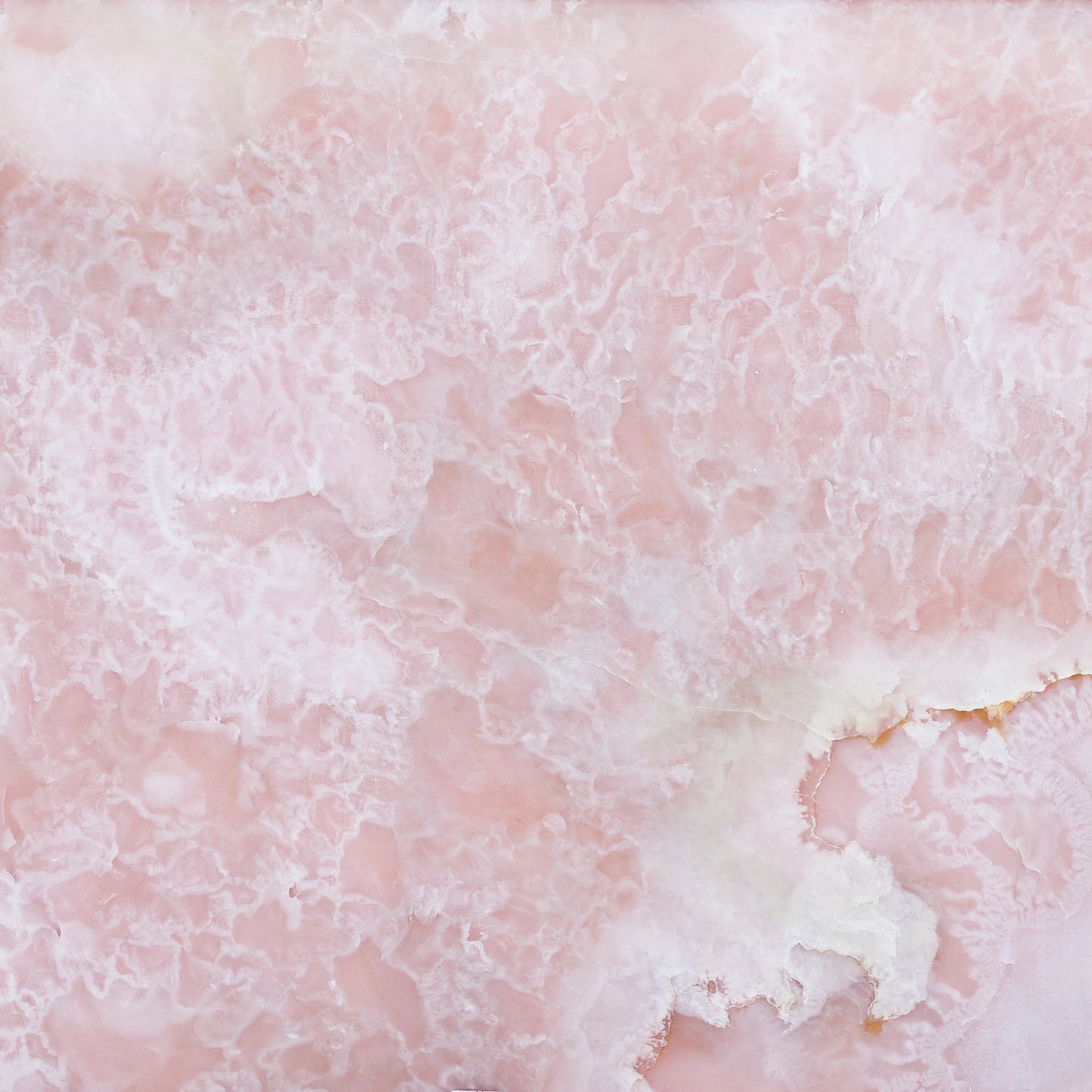 FAREWELL TO REASON 05