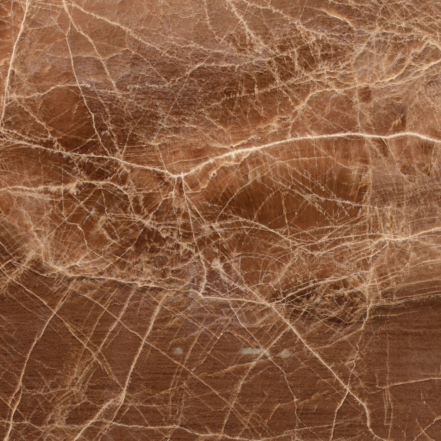 FAREWELL TO REASON 02