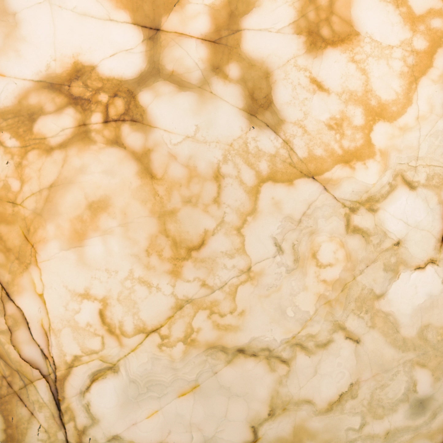 FAREWELL TO REASON 05