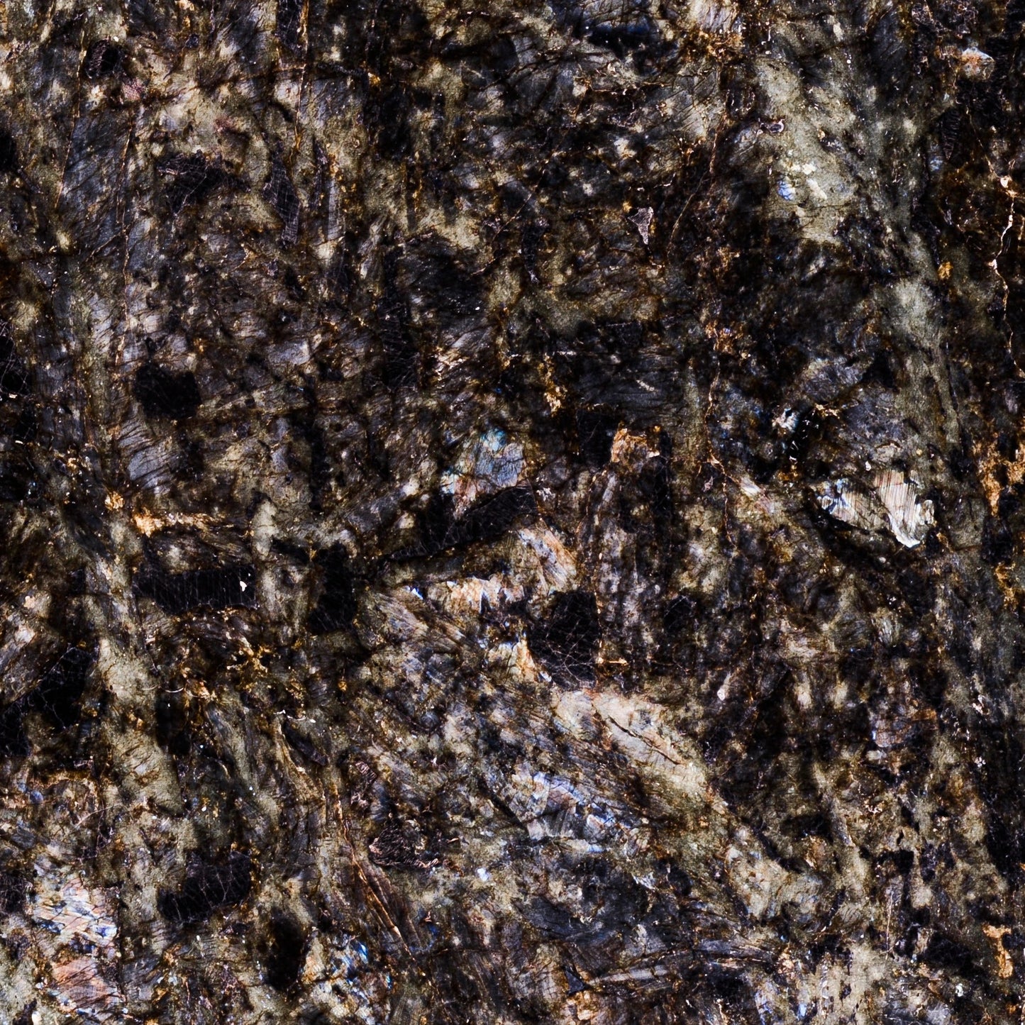 FAREWELL TO REASON 05